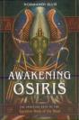 Awakening Osiris - Preview
