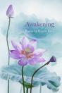 Awakening - Preview