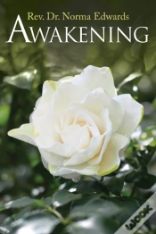 Capa do artigo Awakening