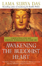 Awakening The Buddhist Heart - Preview