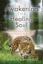 Awakening The Healing Soul - Preview
