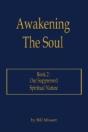 Awakening The Soul - Preview