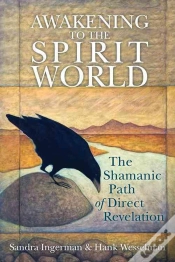 Capa do artigo Awakening To The Spirit World