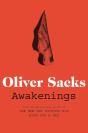 Awakenings - Preview