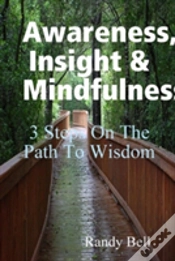 Capa do artigo Awareness, Insight & Mindfulness