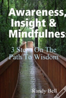 Capa do artigo Awareness, Insight & Mindfulness
