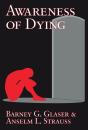 Awareness Of Dying - Preview