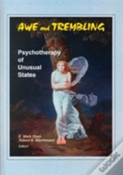 Capa do artigo Awe And Trembling
