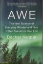 Awe - Preview