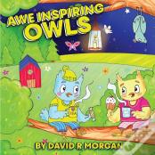 Awe Inspiring Owls