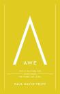 Awe - Preview