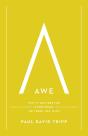 Awe (With Study Questions) - Preview