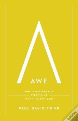 Capa do artigo Awe (With Study Questions)