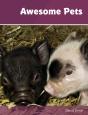 Awesome Pets - Preview