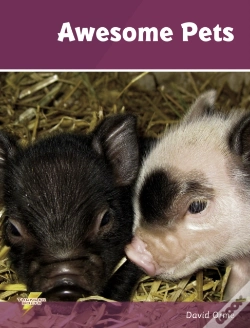 Capa do artigo Awesome Pets