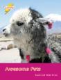 Awesome Pets - Preview