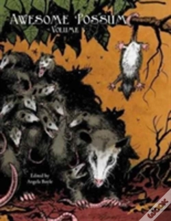 Capa do artigo Awesome 'Possum, Volume 3