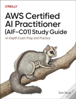Capa do artigo Aws Certified Ai Practitioner (Aif-C01) Study Guide
