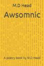 Awsomnic - Preview