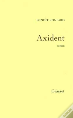 Capa do artigo Axident