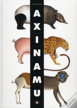 Capa do artigo Axinamu