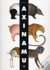 Capa do artigo Axinamu
