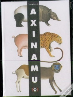 Capa do artigo Axinamu