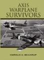 Axis Warplane Survivors - Preview