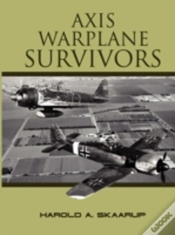 Capa do artigo Axis Warplane Survivors