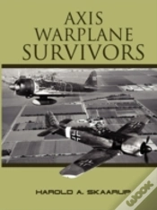 Capa do artigo Axis Warplane Survivors
