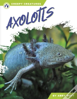 Capa do artigo Axolotls