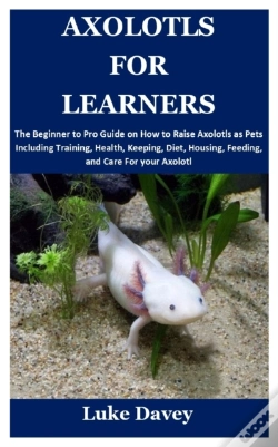 Capa do artigo Axolotls For Learners