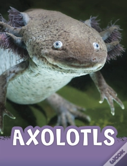 Capa do artigo Axolotls