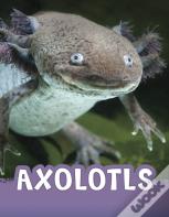 Axolotls