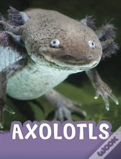 Capa do artigo Axolotls