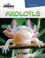 Axolotls - Preview