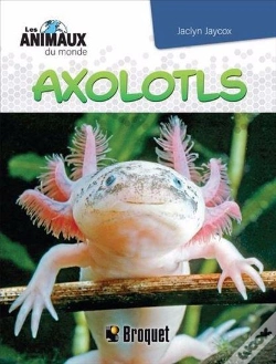Capa do artigo Axolotls