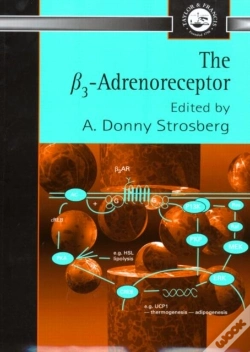 Capa do artigo Ãÿ3 Adrenoreceptor