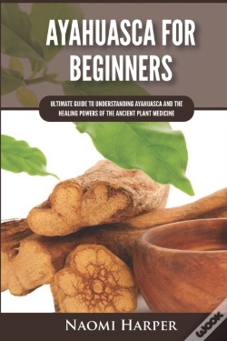 Capa do artigo Ayahuasca For Beginners