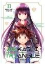 Ayakashi Triangle N 11 - Preview