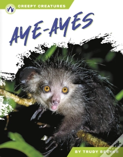 Capa do artigo Aye-Ayes