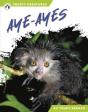 Aye-Ayes - Preview