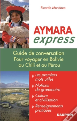 Capa do artigo Aymara Express