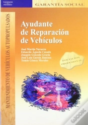 Capa do artigo Ayudante De Reparación De Vehículos