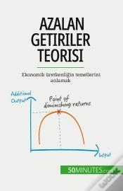 Capa do artigo Azalan Getiriler Teorisi : Ekonomik Üretkenligin Temellerini Anlamak