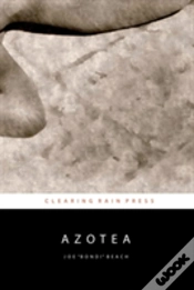 Capa do artigo Azotea