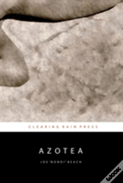 Capa do artigo Azotea