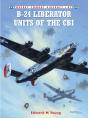 B-24 Liberator Units Of The Cbi - Preview