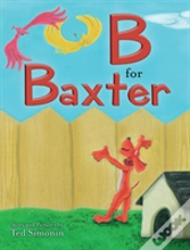 Capa do artigo B For Baxter