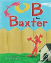 Capa do artigo B For Baxter